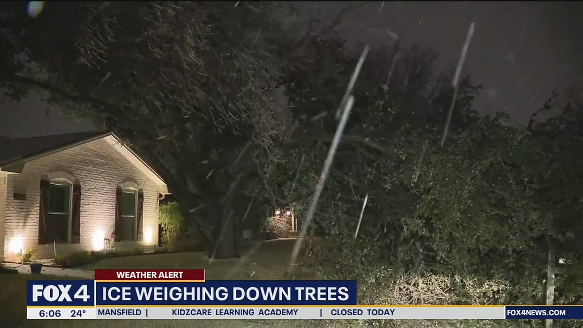 Ice weighs down trees, power lines in Collin County